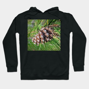 Pine cone Hoodie